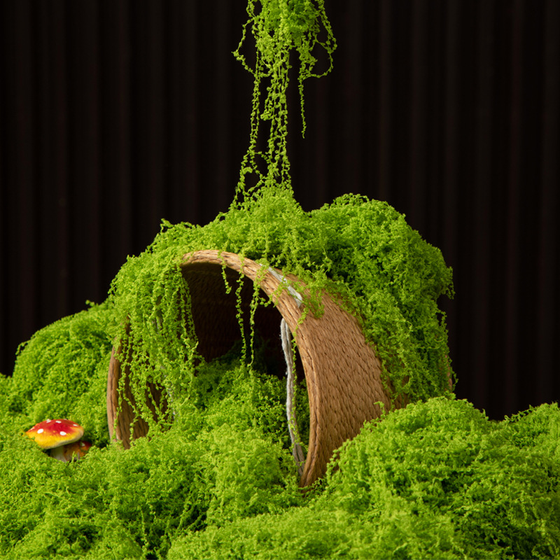 Terrarium Moss Art - มอสอมตะ 200 กรัม สำหรับงาน DIY ตกแต่งบ้าน