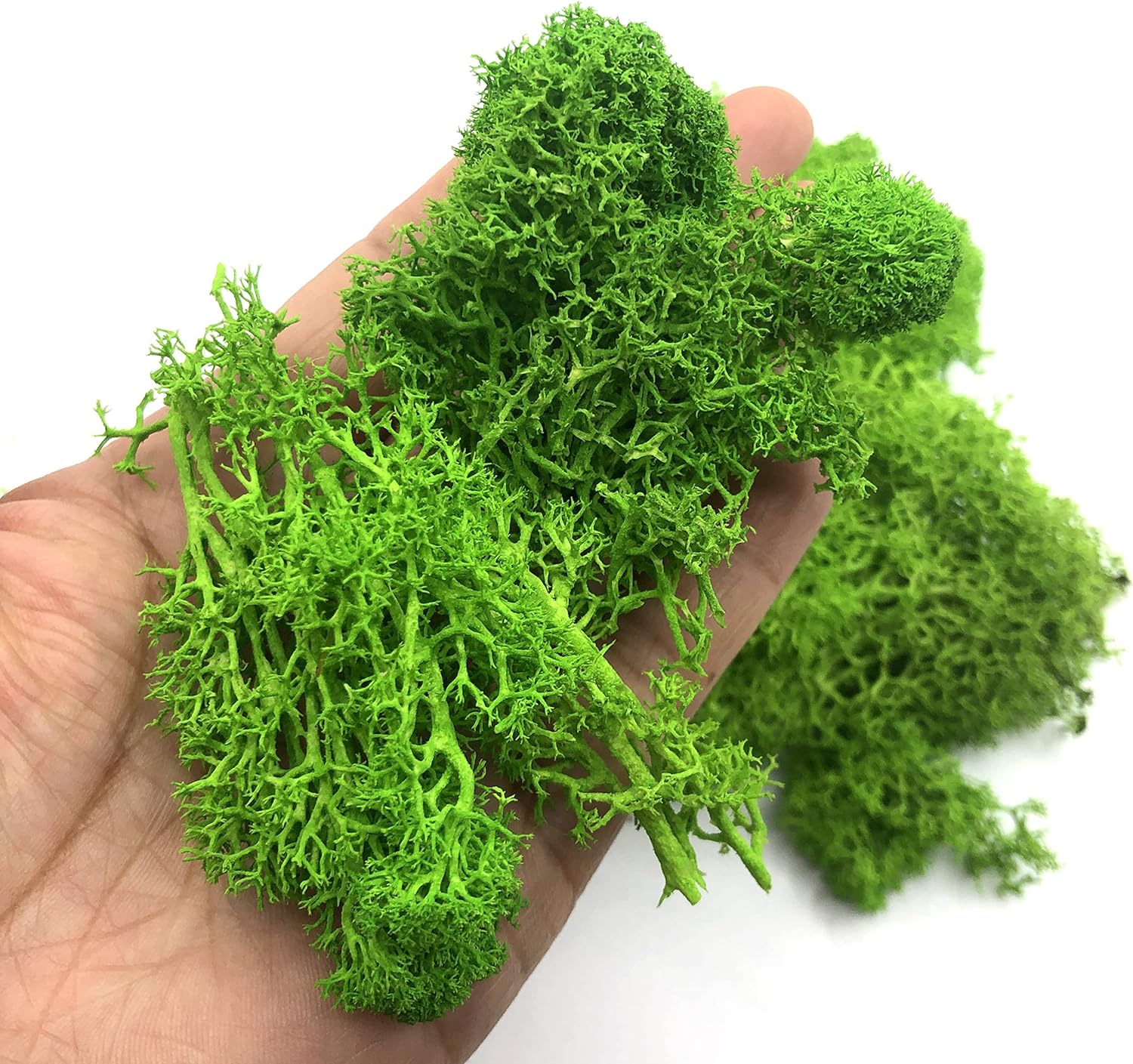 Terrarium Moss Art - 200g พืชสีเขียวประดิษฐ์ MINI ภูมิทัศน์ชีวิตนิรันดร์ MOSS หญ้าปลอมหญ้าสวนห้องนั่งเล่นตกแต่งบ้าน
