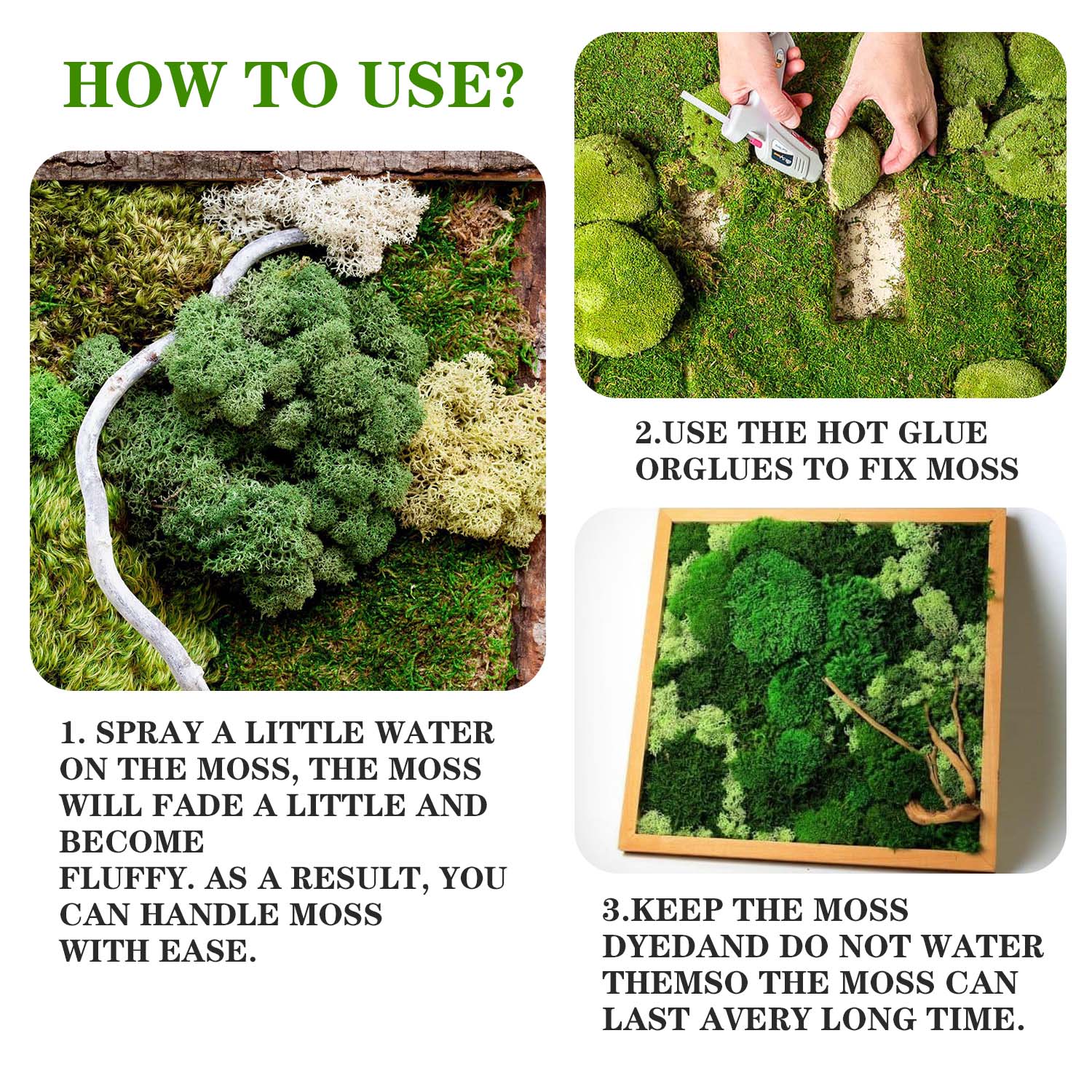 พืชสีเขียวประดิษฐ์ชีวิตนิรันดร - Terrarium Moss Art บทวิจารณ์และราคา