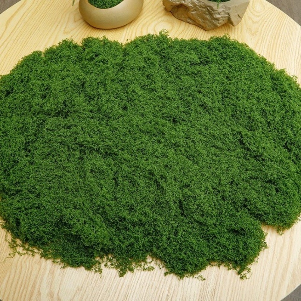 มอสเทียมโพลีเอสเตอร์สำหรับงาน  - Terrarium Moss Art บทวิจารณ์และราคา